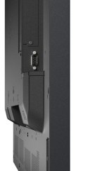 NEC Monitor wielkoformatowy MultiSync 55 cali P555 55 UHD 700cd/m2 24/7