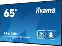 IIYAMA Monitor wielkoformatowy 64.5 cala LH6560UHS-B1AG matowy 24h/7 500(cd/m2) VA 3840 x 2160 UHD(4K) Android.11 Wifi CMS(iiSignage2)