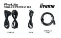 IIYAMA Monitor 25 cali XUB2595WSU-B5 IPS.PIVOT.16:10.USB.DP.HDMI.VGA.2x2W. 300(cd/m2).HAS(150mm)