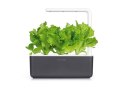 Click And Grow Ogród domowy Click and Grow Smart Garden 3 grafitowy SGS8UNI
