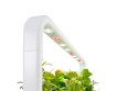 Click And Grow Ogród domowy Click and Grow Smart Garden 9 SG9S1UNI Biały