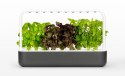 Click And Grow Ogród domowy Click and Grow Smart Garden 9 SG9S8UNI Grafitowy