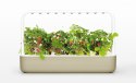 Click And Grow Ogród domowy Click and Grow Smart Garden 9 beżowy SG9S7UNI